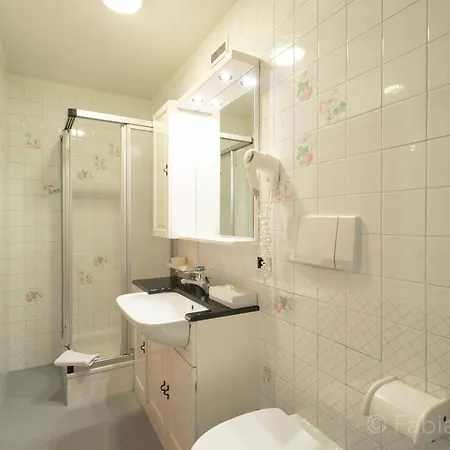 Aparthotel Ciasa La Ro 3*